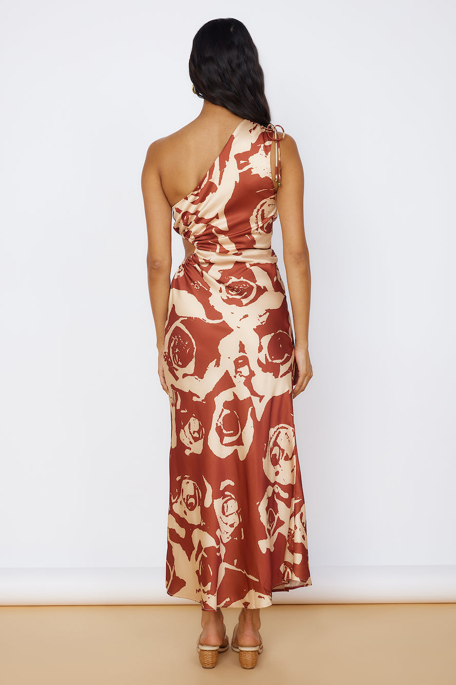 fulfilled dreams maxi dress brown
