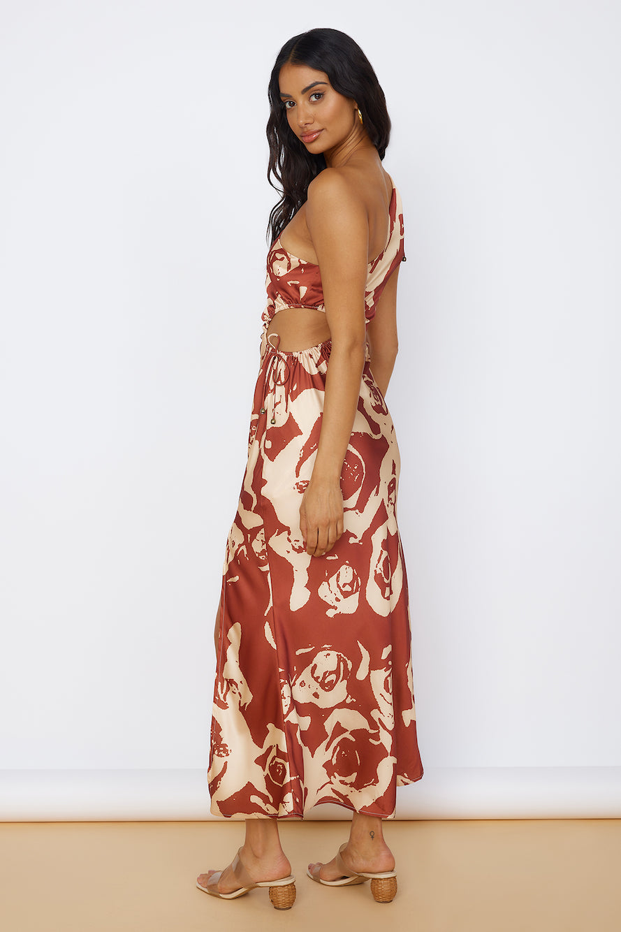 fulfilled dreams maxi dress brown
